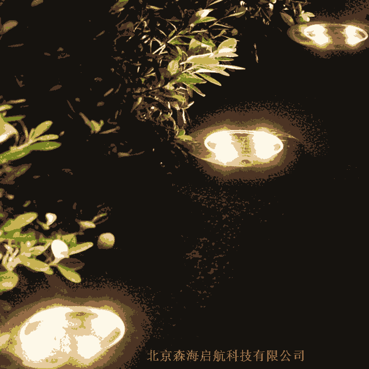 新款太陽能草坪燈 LED地埋燈樣式