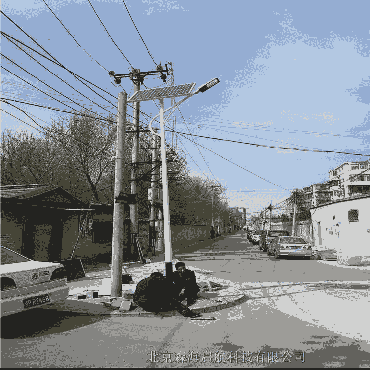 LED中華燈 玉蘭燈 北京路燈工廠直銷(xiāo) 