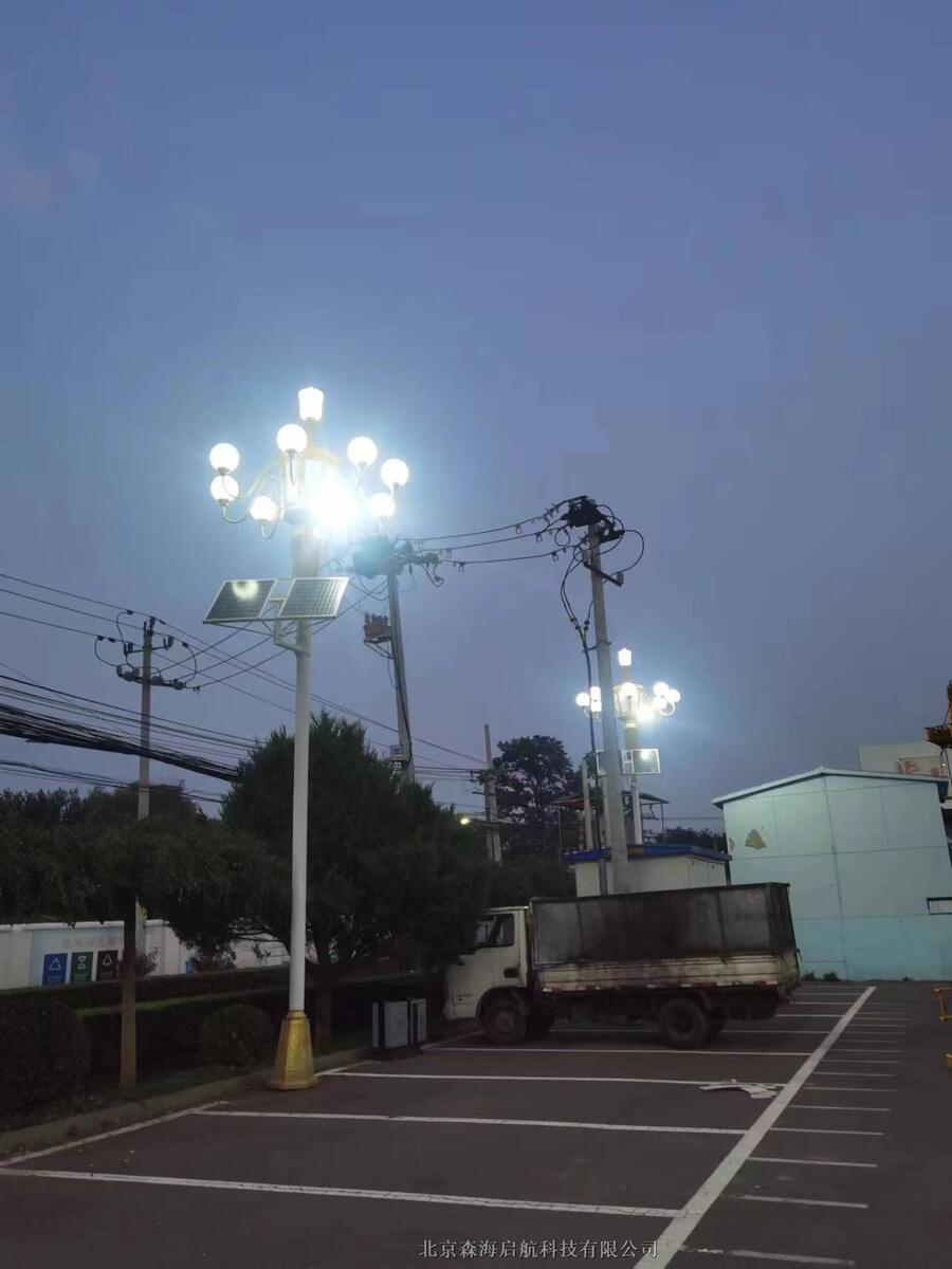高光效LED中華燈 景觀燈具照明工廠直銷(xiāo)